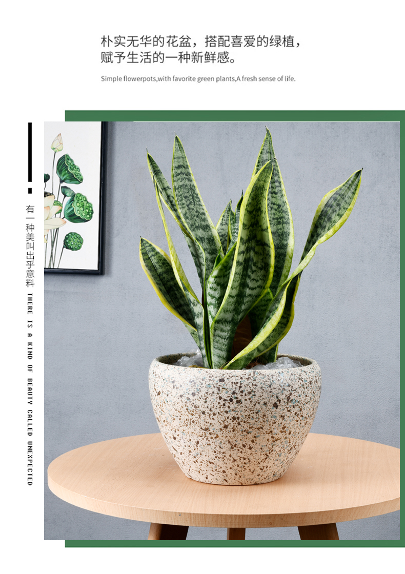 Chinese ceramic flower pot contracted money plant bracketplant breathable oversized bag mail sitting room balcony flowerpot wholesale clearance