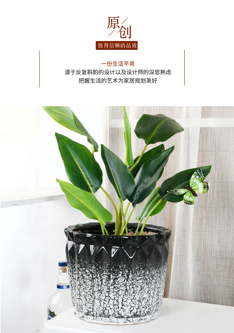 Extra large wholesale ceramic flower pot home office creativity ground tiger orchid rich tree green plant pot bag in the mail