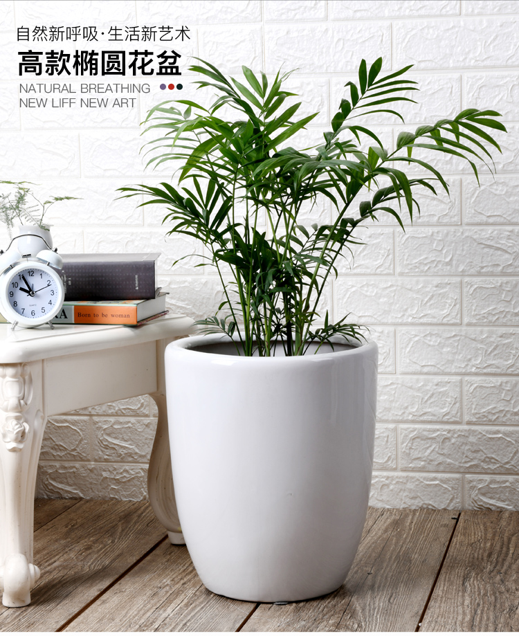 I household flowerpot ceramic oversized rich tree green plant trees wholesale bag mail sitting room interior basin of big flower pot