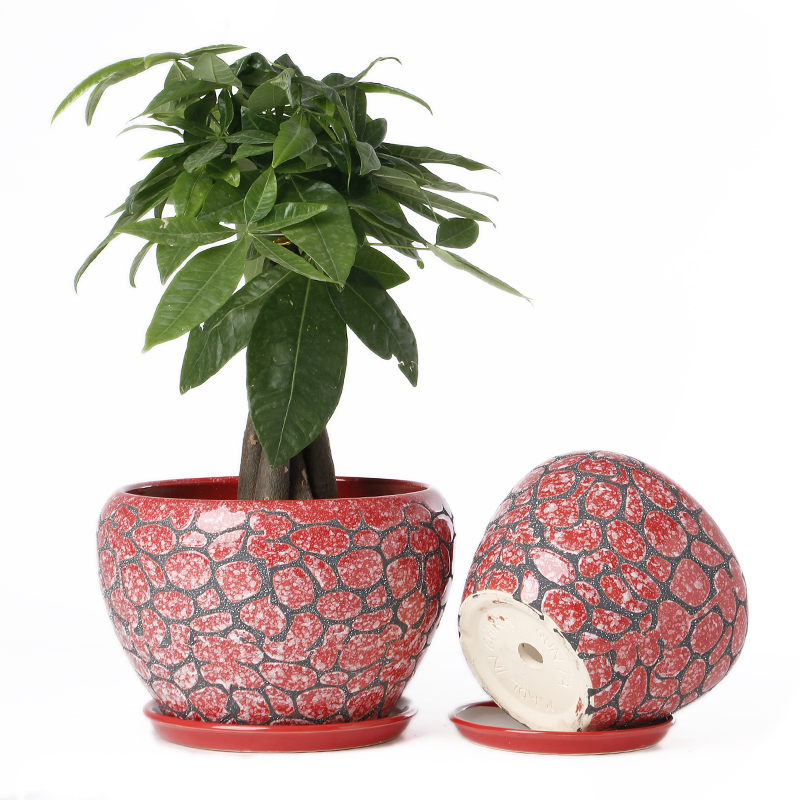 Contracted flowerpot ceramic wholesale with tray was oversized bag mail money plant flower pot sitting room interior, fleshy clearance