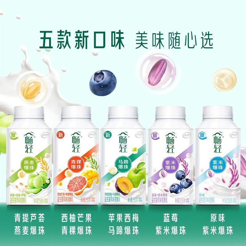 Yili Changqing Yogurt Probiotic Flavored Fermented Milk 250g