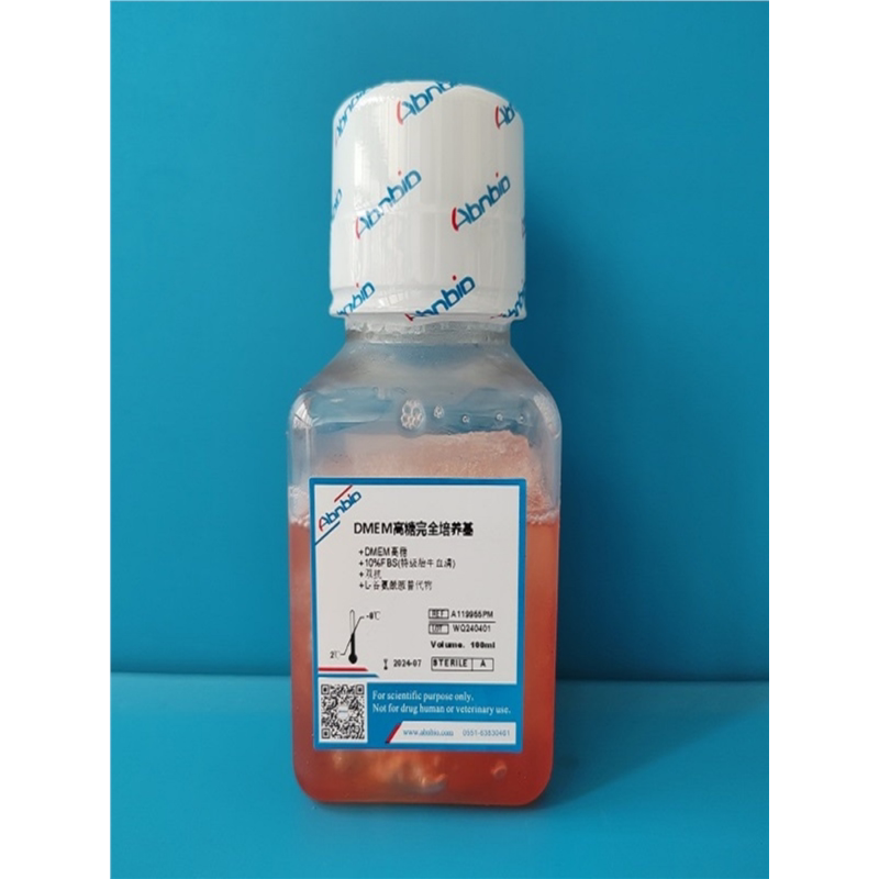 Abnbio DMEM高糖完全培养基 A119955PM 含10%FBS胎牛血清 双抗