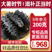Ginseng Dynasty selected Dalian Liao ginseng bottom sowing deep sea 9 years light dry sea cucumber dry goods 200g Liao thorn ginseng gift box