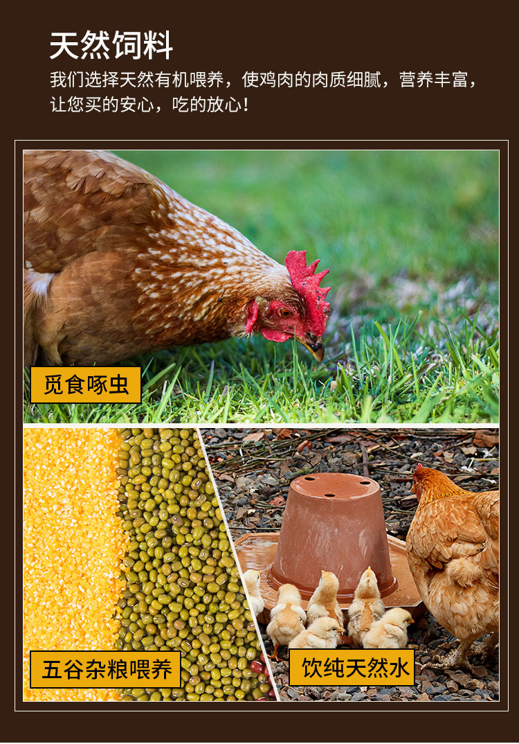 08奥运会供应商 圣华 冷冻生鲜 鸡翅根 4斤 图3