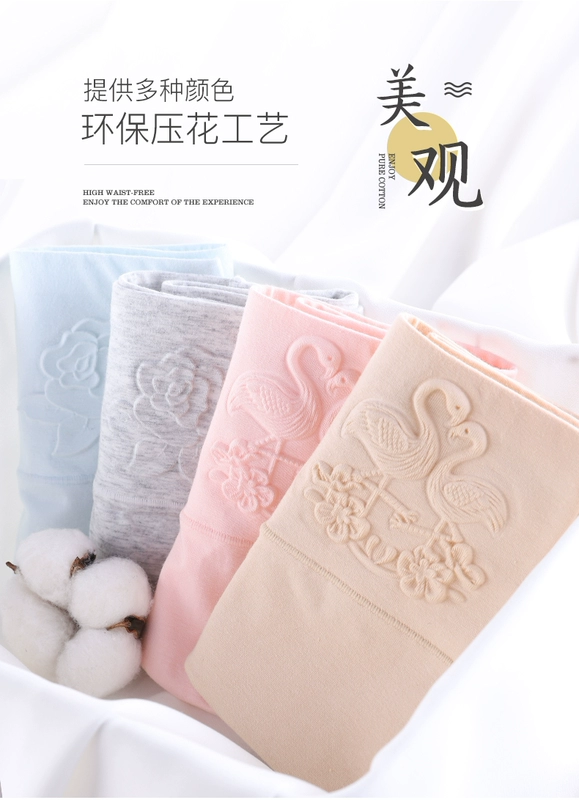 Quần lót nữ Jindu cotton cao đến eo quần cotton cotton sau sinh tạo dáng hông eo 100% quần nữ size lớn