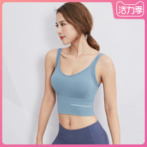 Sports underwear womens beauty back gathered shape fitness yoga vest Shock absorption shape anti-sagging running training bra