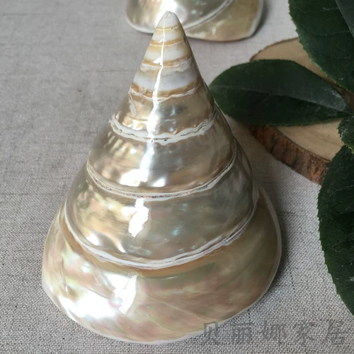 贝丽娜 Прямые продажи с фабрики, натуральные подковообразные ракушки, креативные украшения для домашнего офиса, аквариума, ландшафтные украшения, ремесленные украшения