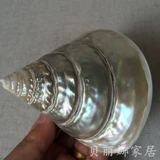 贝丽娜 Прямые продажи с фабрики, натуральные подковообразные ракушки, креативные украшения для домашнего офиса, аквариума, ландшафтные украшения, ремесленные украшения