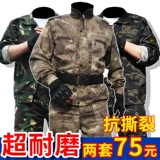 僵 杩 杩 搴熷 搴熷 搴熷 楄 楄   ヤ 綔 綔 цепь