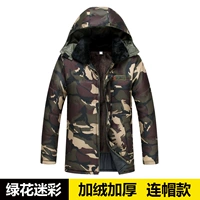 D -стиль Safflower Plus Plus Velvet Cold [Hotton Hat]