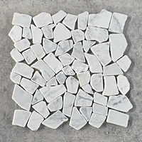 5# (11 штук /м²)