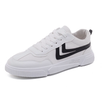 2024 Summer New Style Canvas Trendy Shoes Trendy Hot Mens Shoes Versatile Casual Sports Small White Shoes Cloth Shoes White Shoes