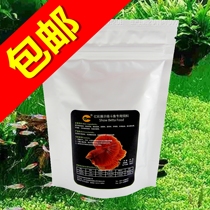  Yicai display grade Thai betta feed National Betta fish food Fish food small particles of fish food can be returned if you dont eat it 