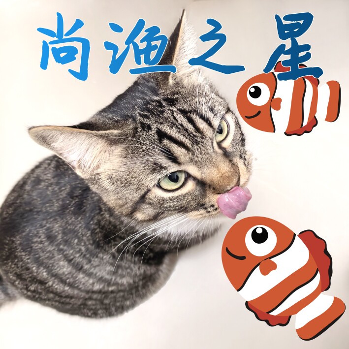 尚渔之星