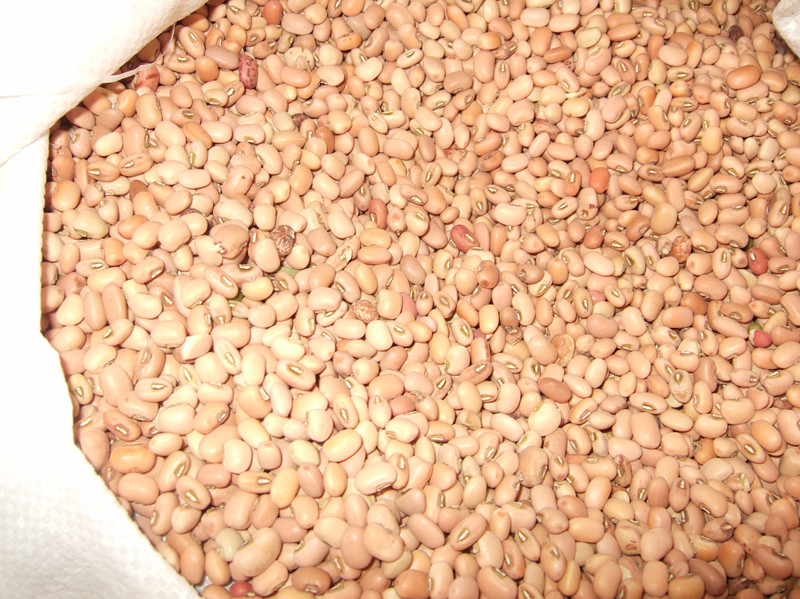 red bean red bean 2018 new red bean small red bean Luhe Lei tea side dish red bean