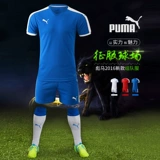 Puma, футбольная форма, футбольный комплект для тренировок, делается под заказ