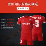 Puma, футбольная форма, футбольный комплект для тренировок, делается под заказ