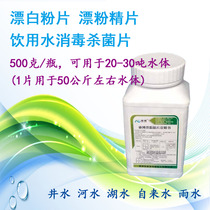 Bleaching powder tablets bleaching powder tablets calcium hypochlorite disinfection tablets food grade safe drinking water disinfection tablets well water sterilization