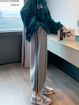 Spring clothing 2022 New fashion small sub-display slim 100 hitch grey casual pants bunches Tide Cards Thickened