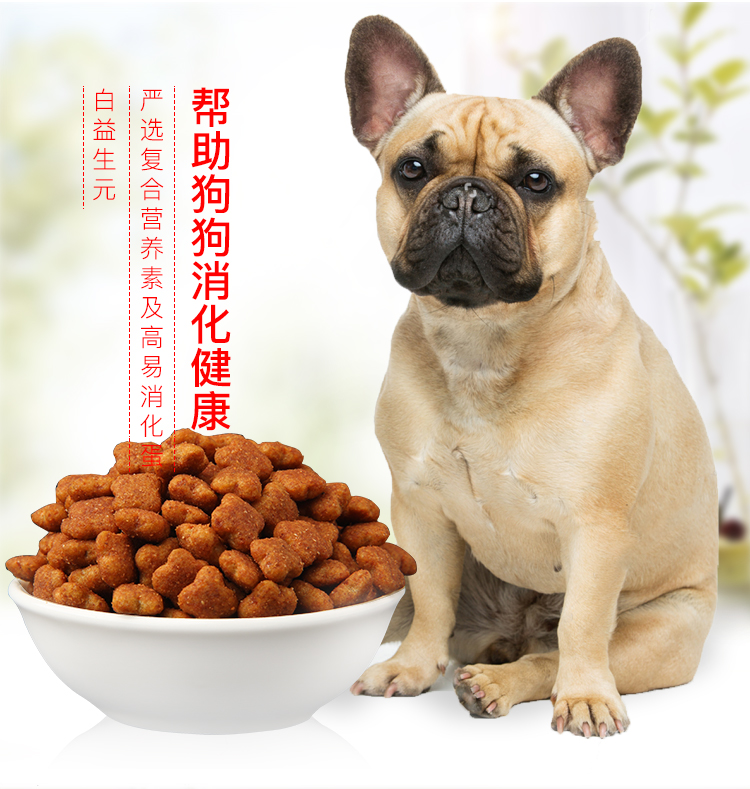 Thức ăn cho chó Teddy mục đích chung cho chó nhỏ chó trưởng thành - Chó Staples thức an cho chó con
