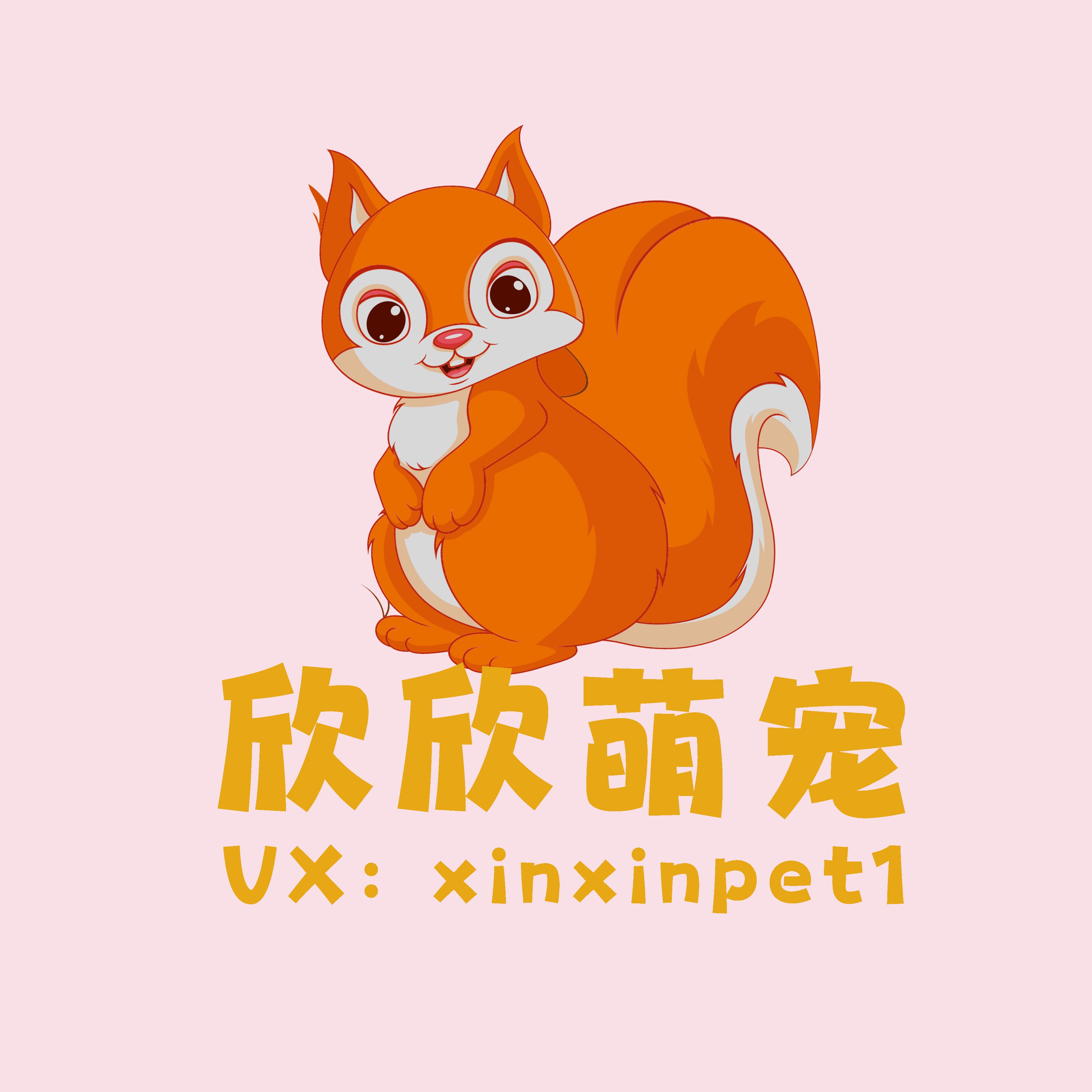 欣欣萌宠店