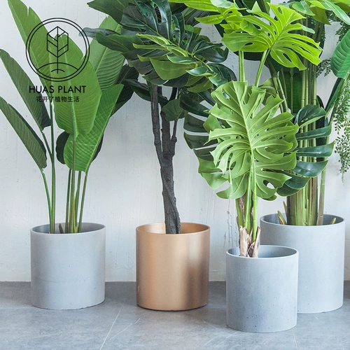 Северный цветочный горшок творческий современный минималистский цементный стеклянный волокно, усиленное волокно, цветочные цветочные цветочные цветочные цветочные цветы.