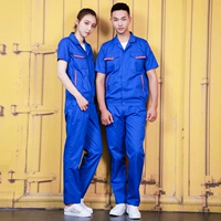 Screeure Blue Set (19 моделей)