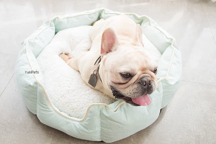 Bạc hà nhỏ tươi sọc nhỏ màu đỏ kennel Teddy chó nhỏ lông vàng chó trung bình chó chó mèo mèo mèo mèo phổ quát - Cat / Dog hàng ngày Neccessities 	bát ăn chậm cho mèo	