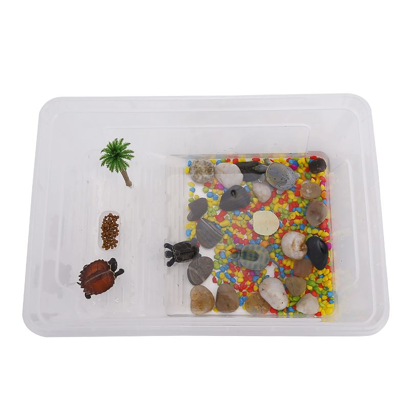 Plastic cylinder with sundae turtle cylinder Brazilian tortoise crocodile turtle special amphibious cylinder tabletop small tortoise box resistant to fall