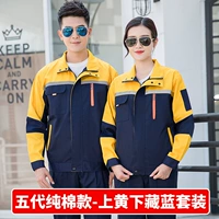 Пять династий хлопок