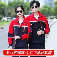 Five Dynasties Cotton Models