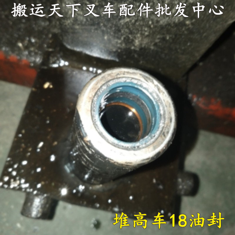 Stacker oil seal 18 small pump core forklift hydraulic pump 24 repair 18*26DHS18 promotion cattle lift forklift