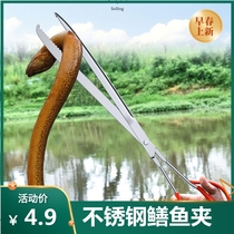 Clip of rice field eel non-slip conch grab Loach sanitary tongs household sea-catching tool picker straight mouth