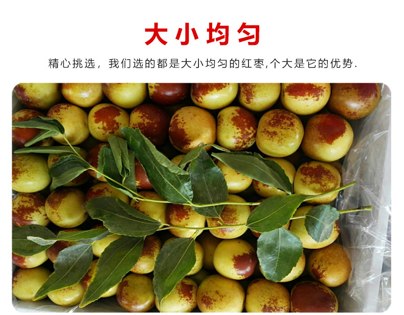 Зимний jujube_06.jpg