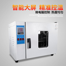 Electric Heating Thermostatic Blast Drying Cabinet Laboratory Industrial Oven Small Oven Vacuum Blast High Temperature Drying box