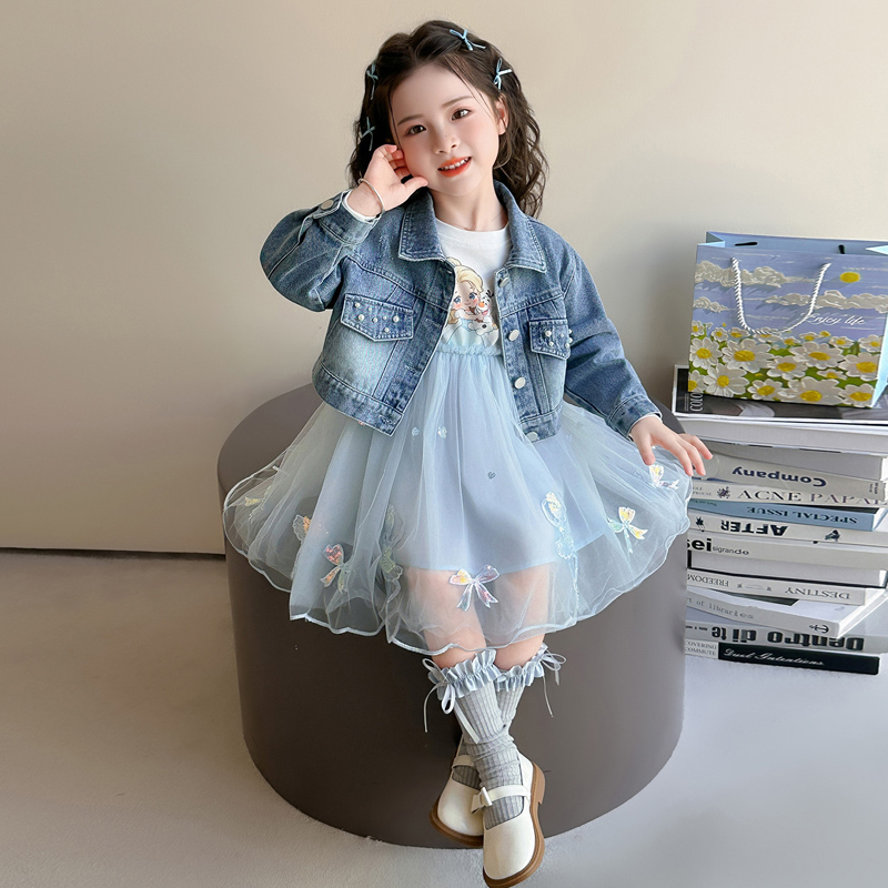 Elsa Girls' Dress Autumn Children's Clothing Little Girl Birthday Outfit Baby Elsa Princess Dress