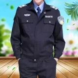 Занятая на работе весна и осенние костюмы имущество швейцарскую одежду обучение одежды.