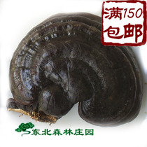 Changbaishan specially produced semi - wild Ganoderma natural state forest grows into a Northeast Forest Manor