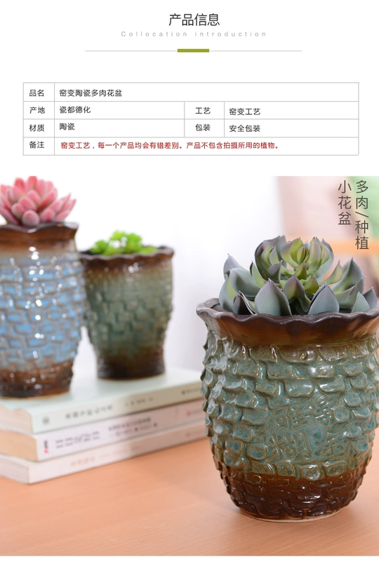 Cọc cũ chậu hoa mọng nước châu Âu gốm hoa chậu cây xanh hoa cũ cọc cũ chậu hoa khô bình hoa - Vase / Bồn hoa & Kệ lọ hoa tay phật