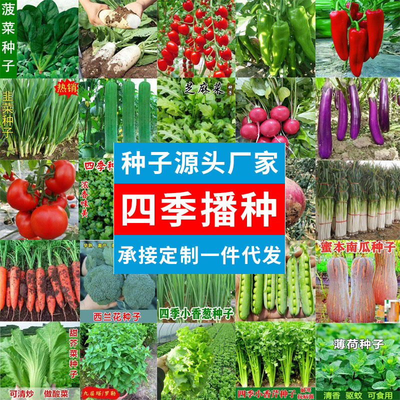Wholesale Four Seasons Vegetable Seeds Complete Indoor and