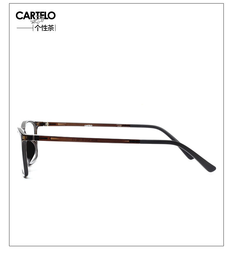 Montures de lunettes CARTELO      en Memoire plastique - Ref 3141203 Image 30