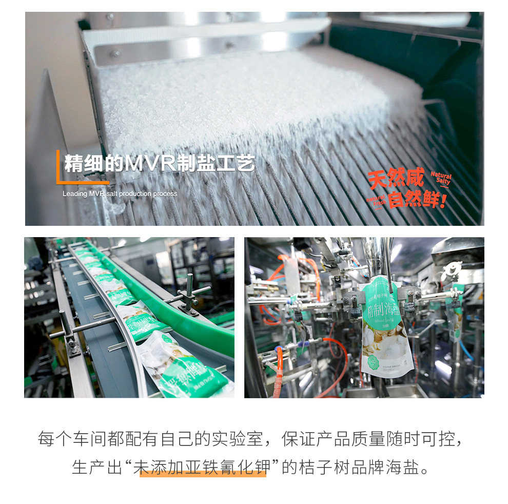 安享好物 安享B级海盐-桔子树精制海盐 企标 