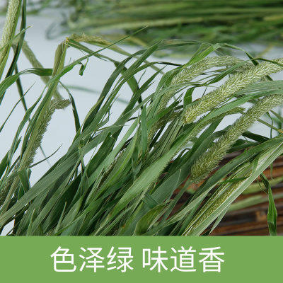 2021 Selected Timothy Grass 1000G Rabbit Dry Grass Dragon Cat Guinea Pig Herd Grass Raider Grass