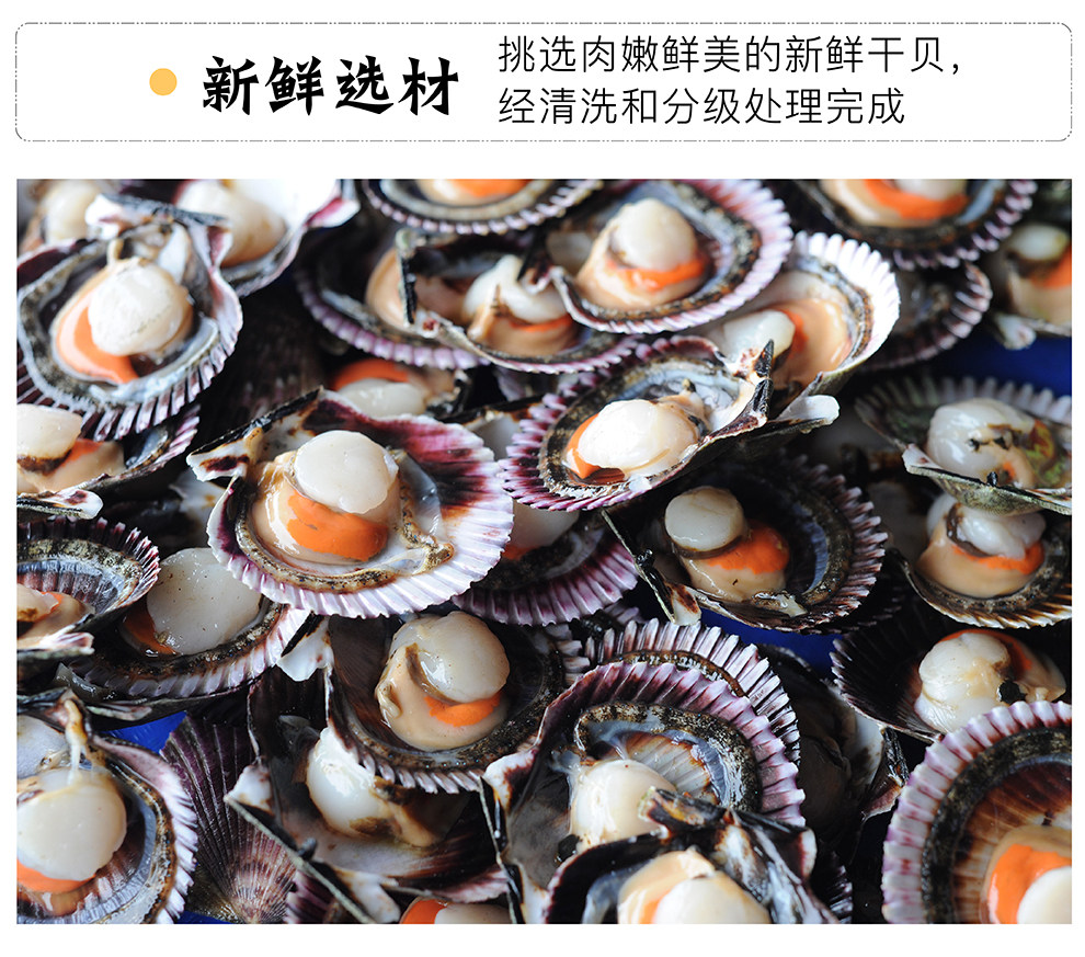 采小海 纯净淡晒瑶柱干贝 100g*2件 图4