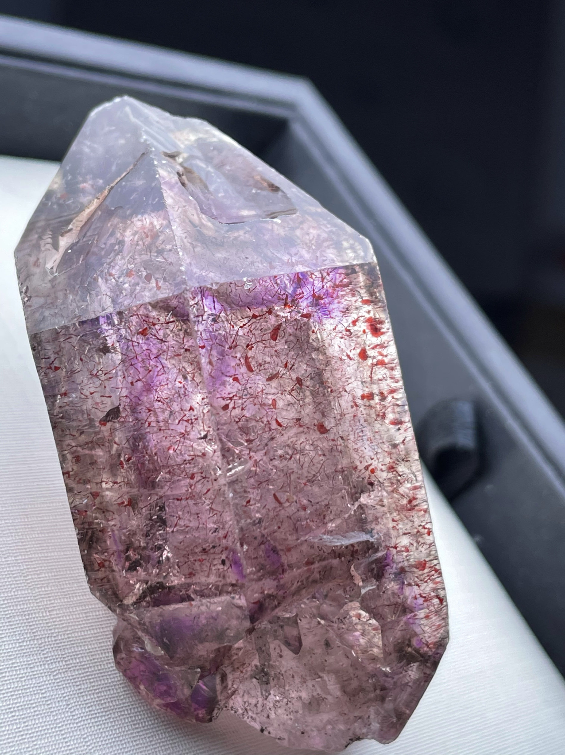 創作人形・吸血鬼の標本（紫水晶） 櫻井紅子 on X: 