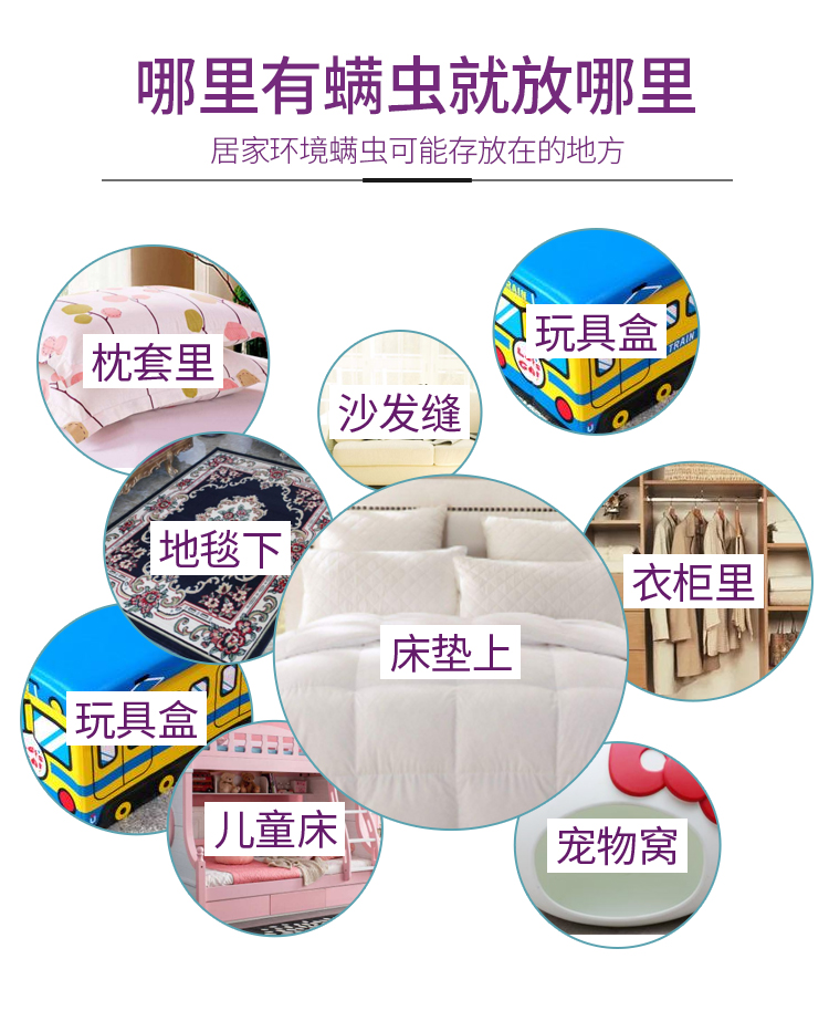chai xịt muỗi raid Châu chấu hoang dã Nhật Bản dán lên ve, ve, dán, giường gia đình, chăn, mạt, thuốc chống côn trùng - Thuốc diệt côn trùng chai xịt muỗi jumbo