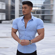 Muscle mens stretch shirt stand-up collar short-sleeved T summer breathable thin section slim quick-drying sports cardigan fitness clothes