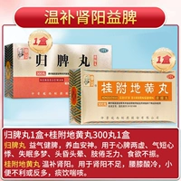 300 таблетки x 1 коробка + 1 коробка Guifu Dihuang Таблетки [исцеление и питание почки и ян и принося в пользу селезенки]