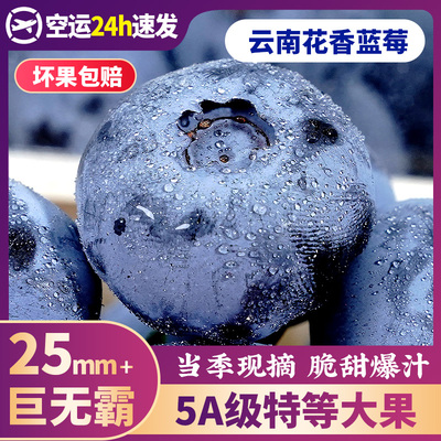 [云南蓝莓鲜果特大礼盒当季高山L25花香新鲜水果孕妇怡颗蓝梅整箱]