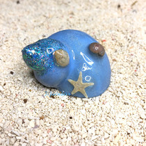 Resident crab replaces the shell blue sea star decorates the handmade custom shell natural sea screw shell processing